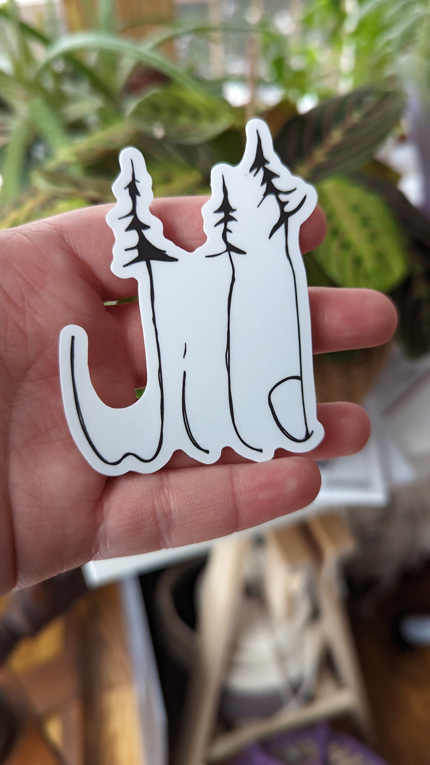 Wild Pine Sticker