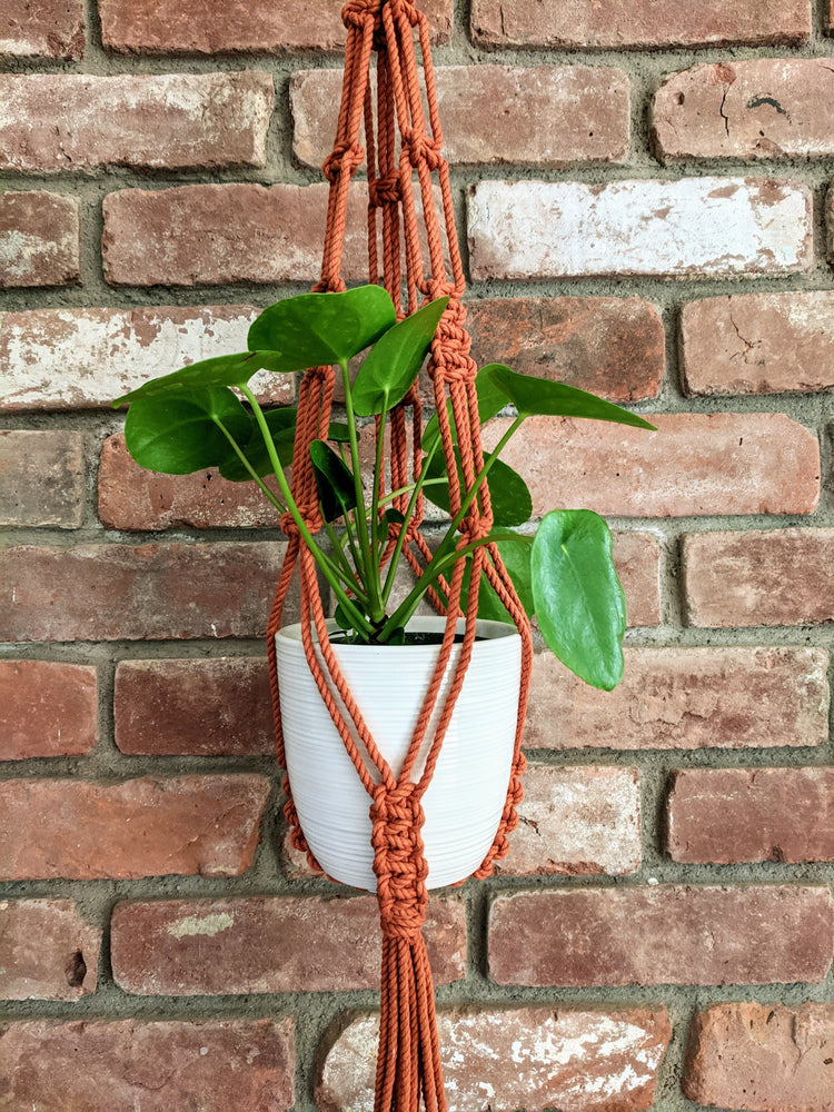 Plant Hangers